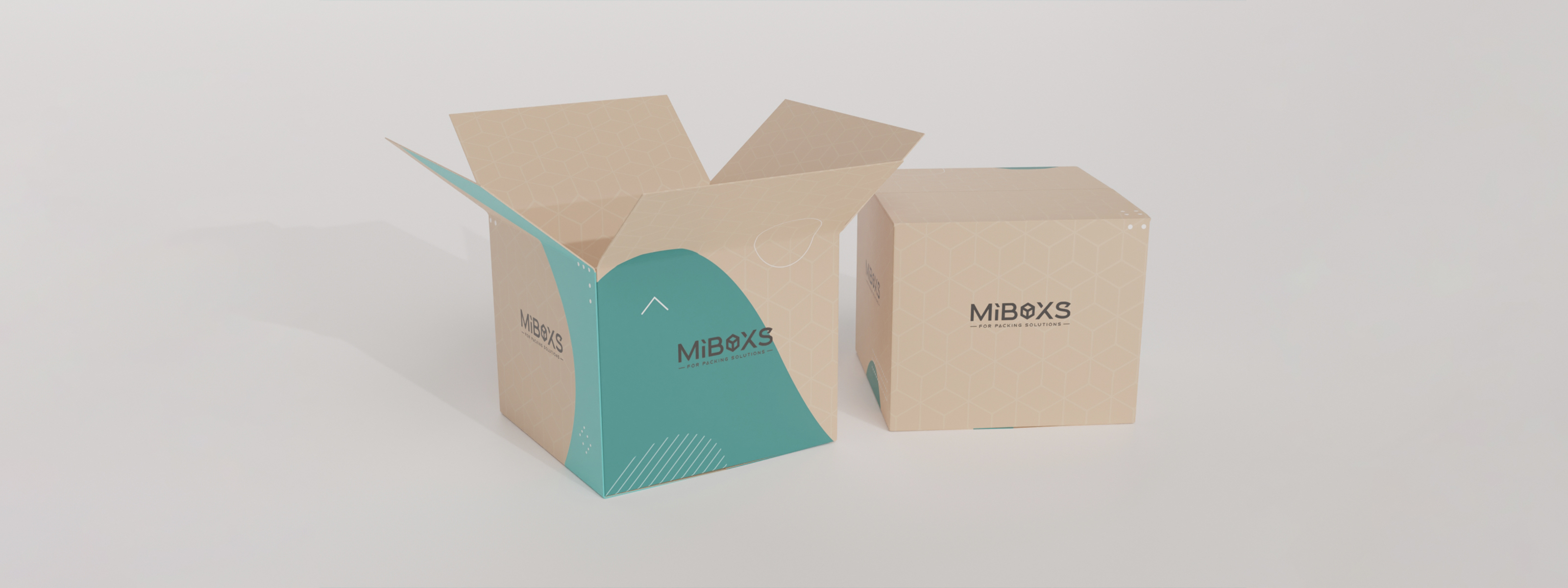 Custom Shipping Box